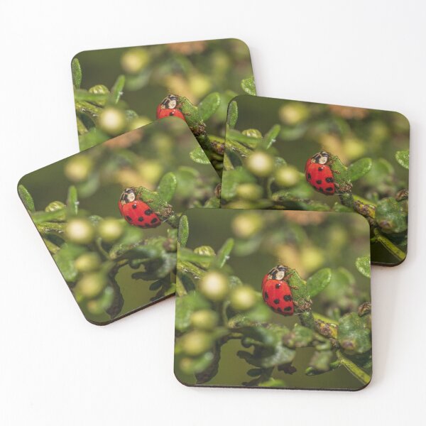 Item preview, Lady bug designed and sold by iktwo.