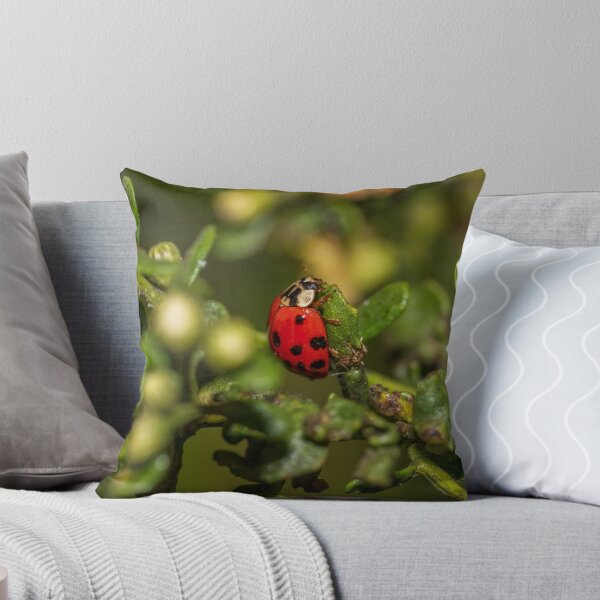 Item preview, Lady bug designed and sold by iktwo.