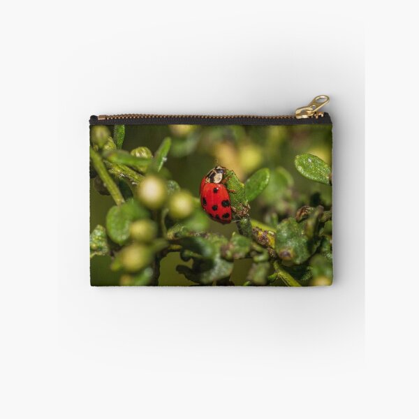 Item preview, Lady bug designed and sold by iktwo.