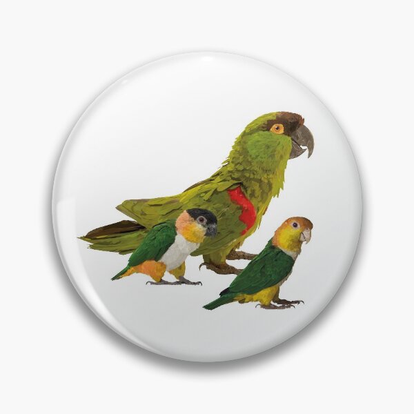 Item preview, Mountain parrot and caiques designed and sold by obscurite.