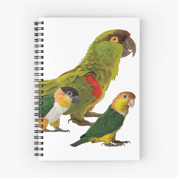 Item preview, Mountain parrot and caiques designed and sold by obscurite.