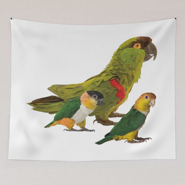 Item preview, Mountain parrot and caiques designed and sold by obscurite.