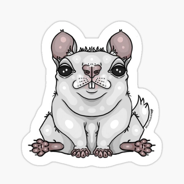 Download Chonky Animals Gifts Merchandise Redbubble