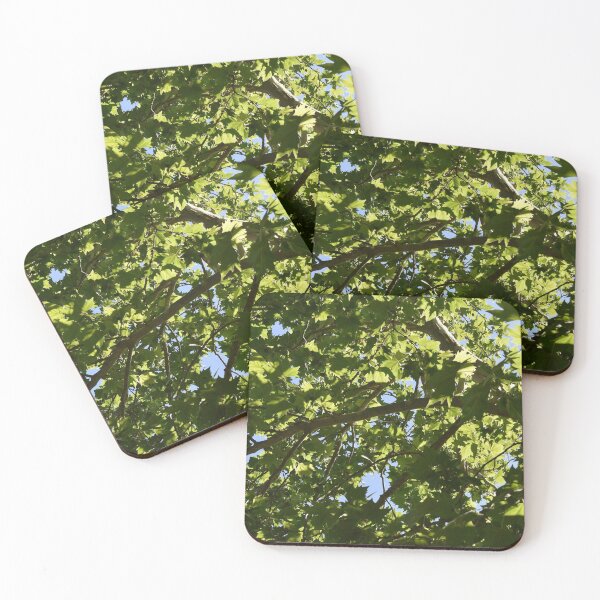 Item preview, Afternoon Maple Tree Leaves designed and sold by BiscuitSnack.