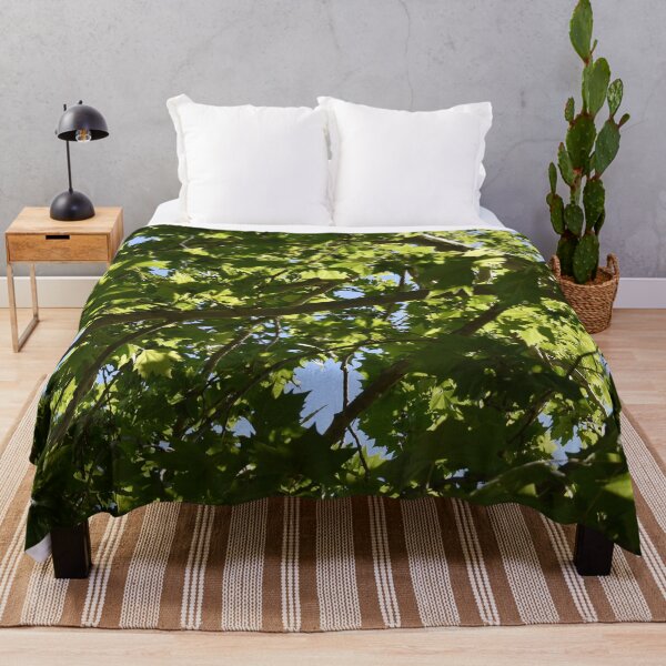 Item preview, Afternoon Maple Tree Leaves designed and sold by BiscuitSnack.