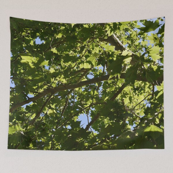 Item preview, Afternoon Maple Tree Leaves designed and sold by BiscuitSnack.