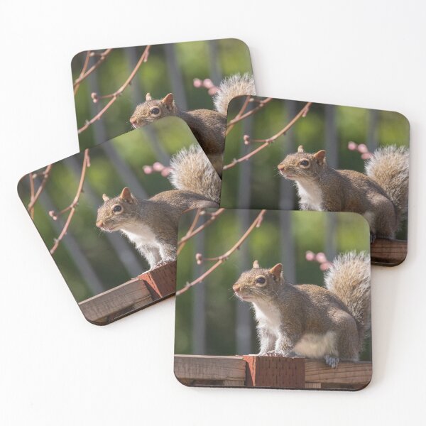 Item preview, Squirrel resting on a fence designed and sold by iktwo.