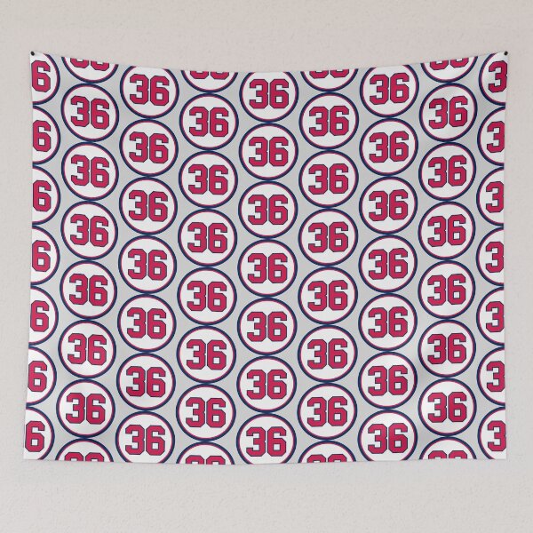 Item preview, Mike Minor #36 Jersey Number designed and sold by StickBall.