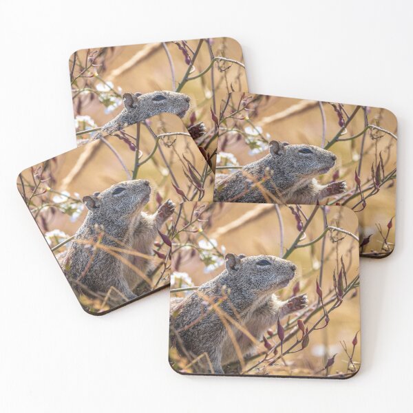 Item preview, Squirrel reaching out for some food designed and sold by iktwo.