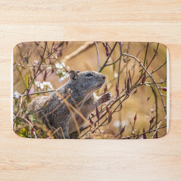 Item preview, Squirrel reaching out for some food designed and sold by iktwo.
