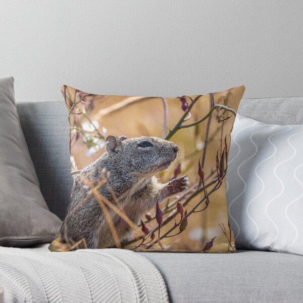 Item preview, Squirrel reaching out for some food designed and sold by iktwo.