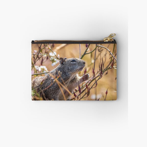 Item preview, Squirrel reaching out for some food designed and sold by iktwo.
