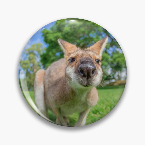 Item preview, Nosey Wallaby designed and sold by Planet Earth By Colin Davis.