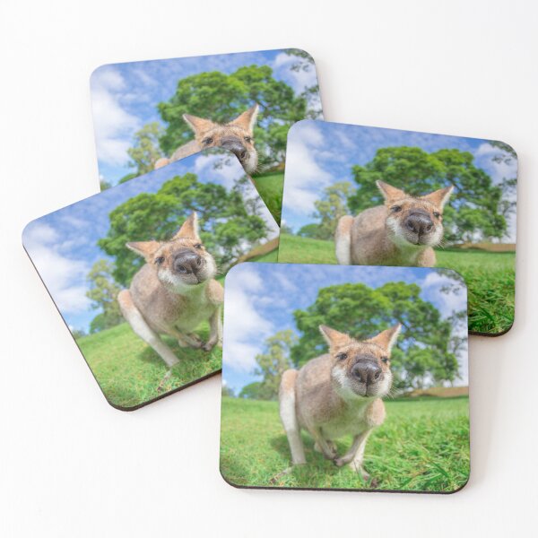 Item preview, Nosey Wallaby designed and sold by Planet Earth By Colin Davis.