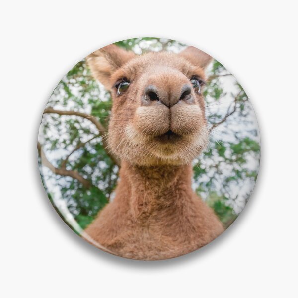 Item preview, Inquisitive Kangaroo designed and sold by Planet Earth By Colin Davis.