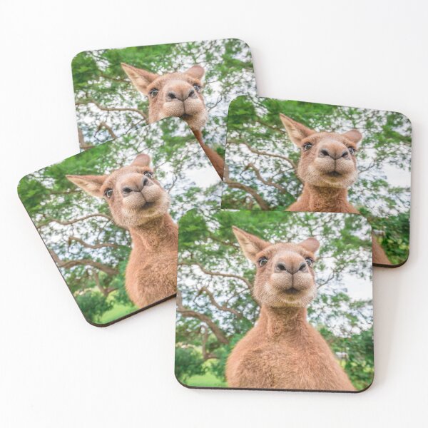 Item preview, Inquisitive Kangaroo designed and sold by Planet Earth By Colin Davis.