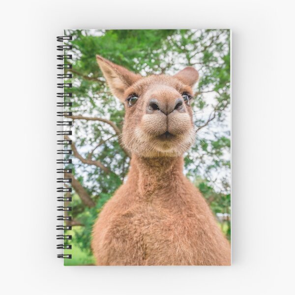 Item preview, Inquisitive Kangaroo designed and sold by Planet Earth By Colin Davis.