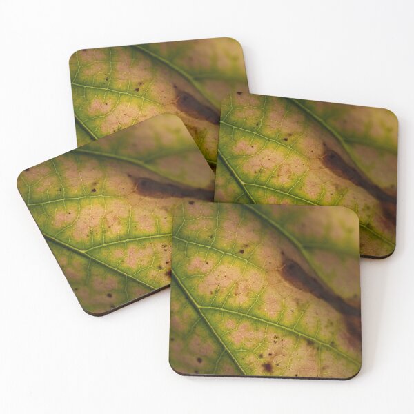 Item preview, Closeup of a leaf designed and sold by iktwo.