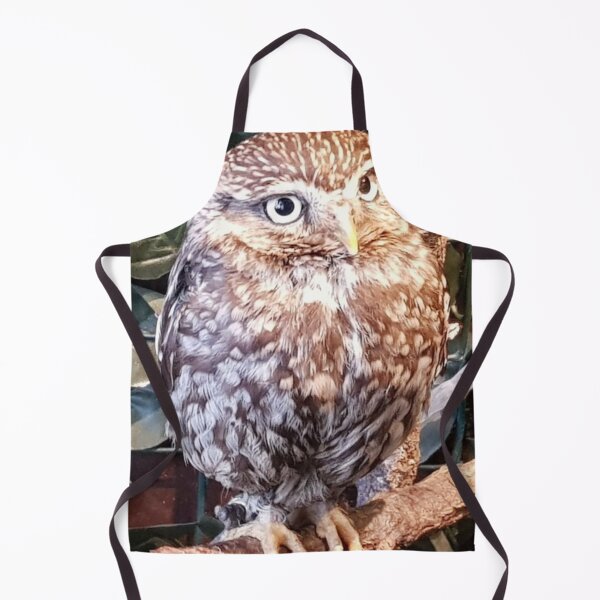 Aperçu de l'œuvre Hibou créée et vendue par Xtan.