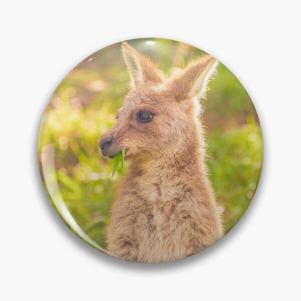 Item preview, Kangaroo, North Stradbroke Island designed and sold by Planet Earth By Colin Davis.