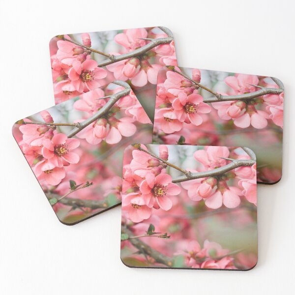 Item preview, Apple Blossom Time the arrival of Spring  designed and sold by Jillalexa.