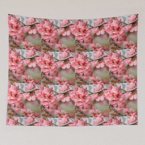 Aperçu de l'œuvre Apple Blossom Time l'arrivée du printemps créée et vendue par Jillalexa.