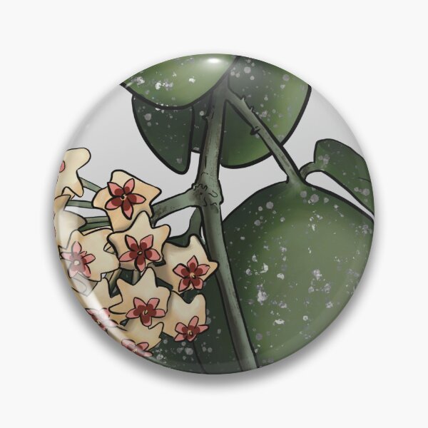 Item preview, Hoya obovata illustration designed and sold by Wieskunde.