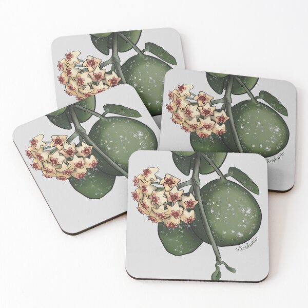 Item preview, Hoya obovata illustration designed and sold by Wieskunde.