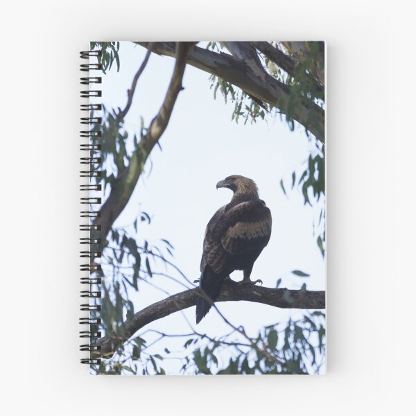 Item preview, Wedge Tail Eagle designed and sold by Withns.