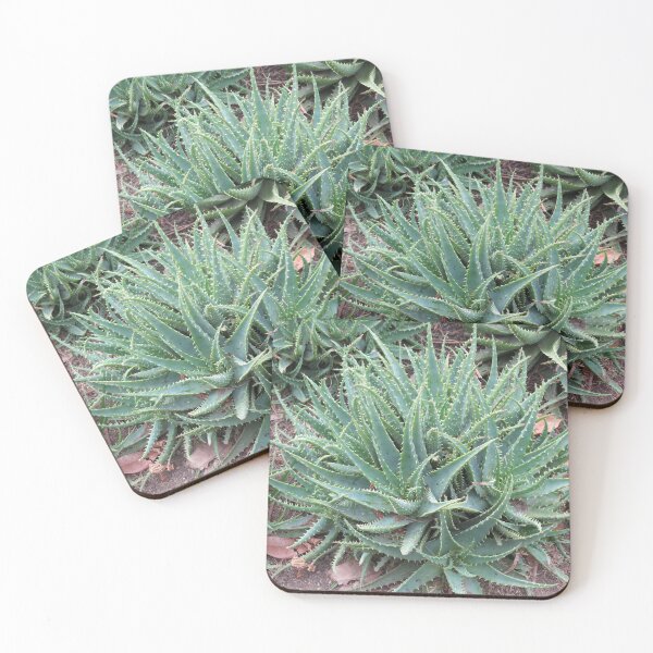 Item preview, Prickly aloe designed and sold by greentiger1.