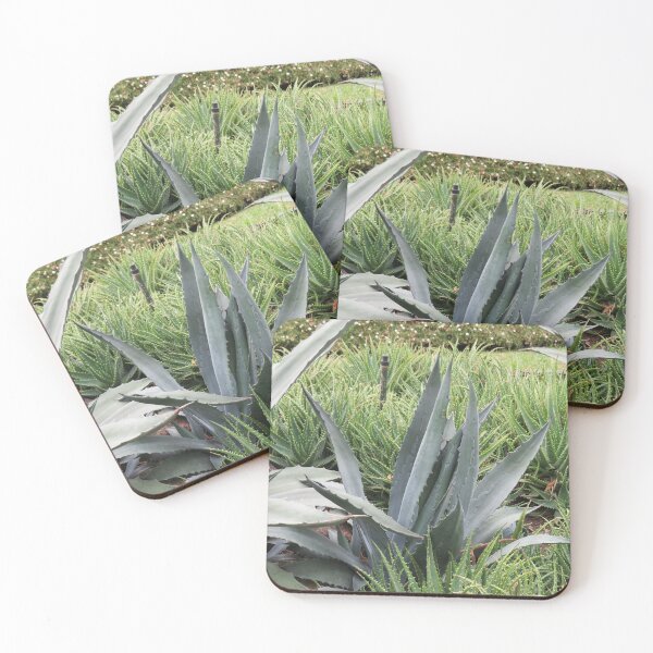 Item preview, Agave americana designed and sold by greentiger1.