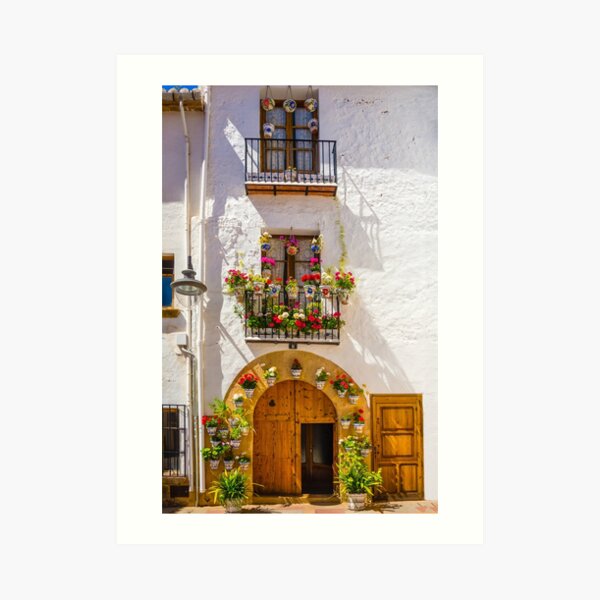Doors windows and plants in pots Art Print