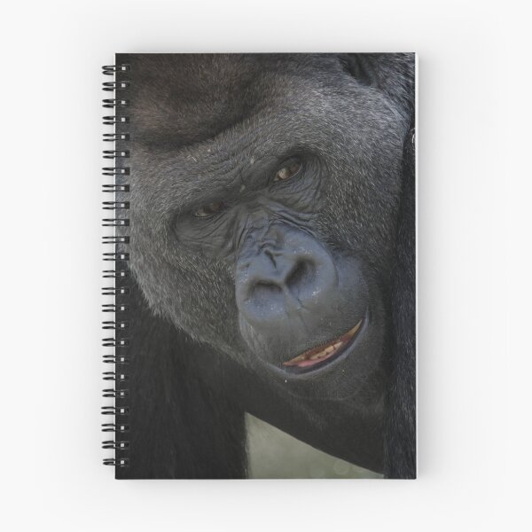 Item preview, Silver back gorilla designed and sold by alan tunnicliffe.