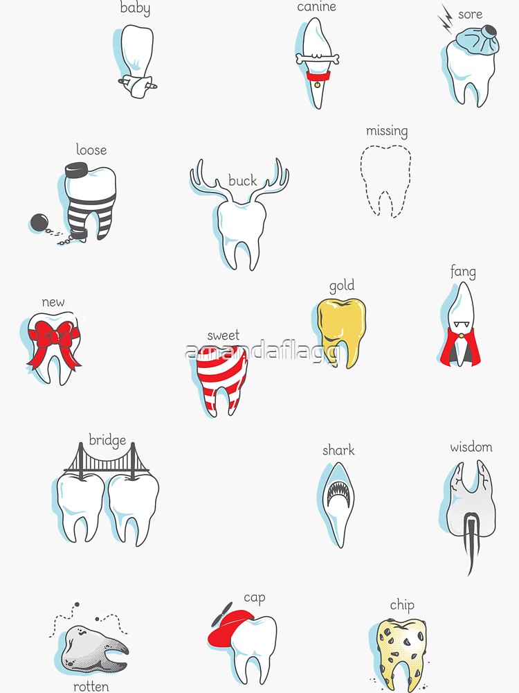 Dental Definitions by amandaflagg