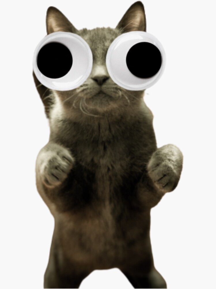 "Googly eye cat" Sticker by Zsiber Redbubble