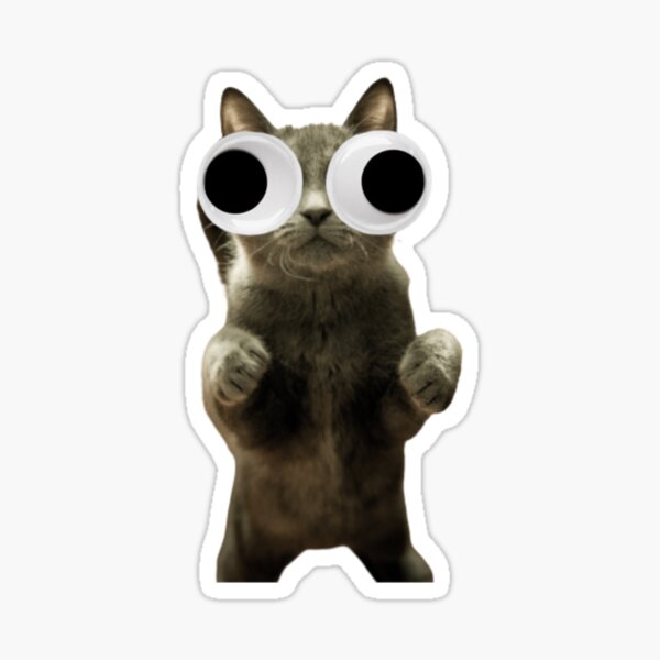 "Googly eye cat" Sticker by Zsiber Redbubble