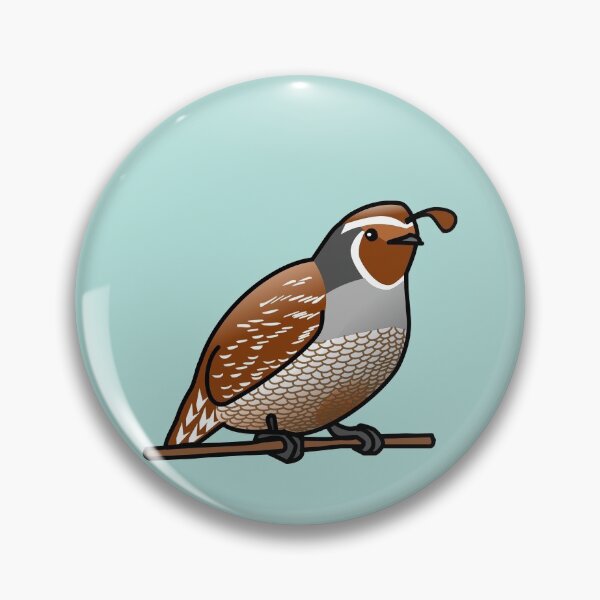 Item preview, California Quail designed and sold by denip.