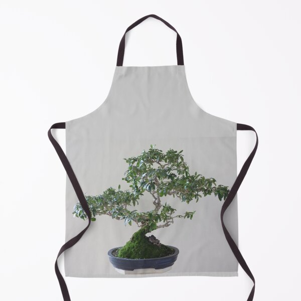 Item preview, Bonsai tree Wild olive 37 year old designed and sold by NJH110.