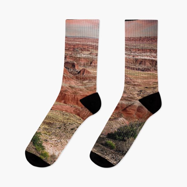 Item preview, The Painted Desert - Arizona designed and sold by Kathy Weaver.