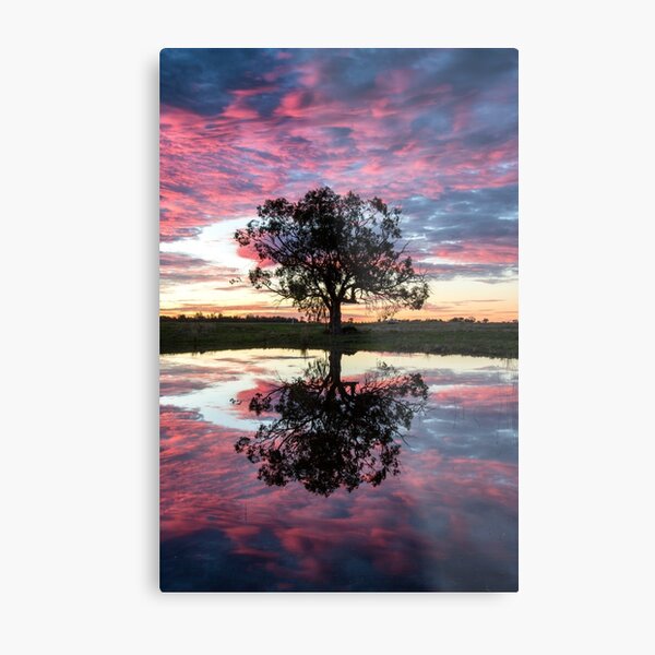 Mirror tree Metal Print