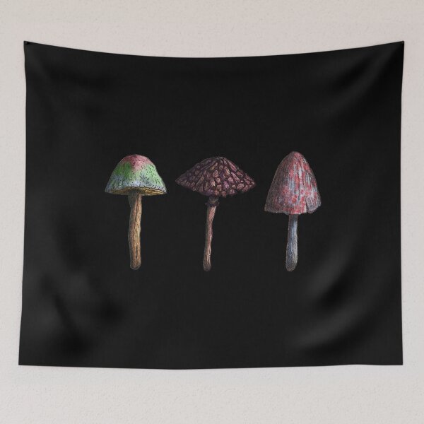 Item preview, Three Mushroom Mycology, Mycologist Gift designed and sold by OldCamp.