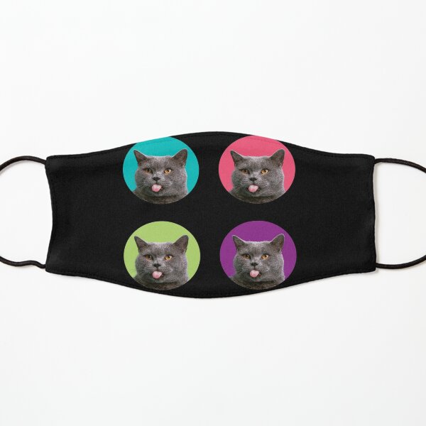 cute british shorthair cat color funny british shorthair face gift Kids Mask