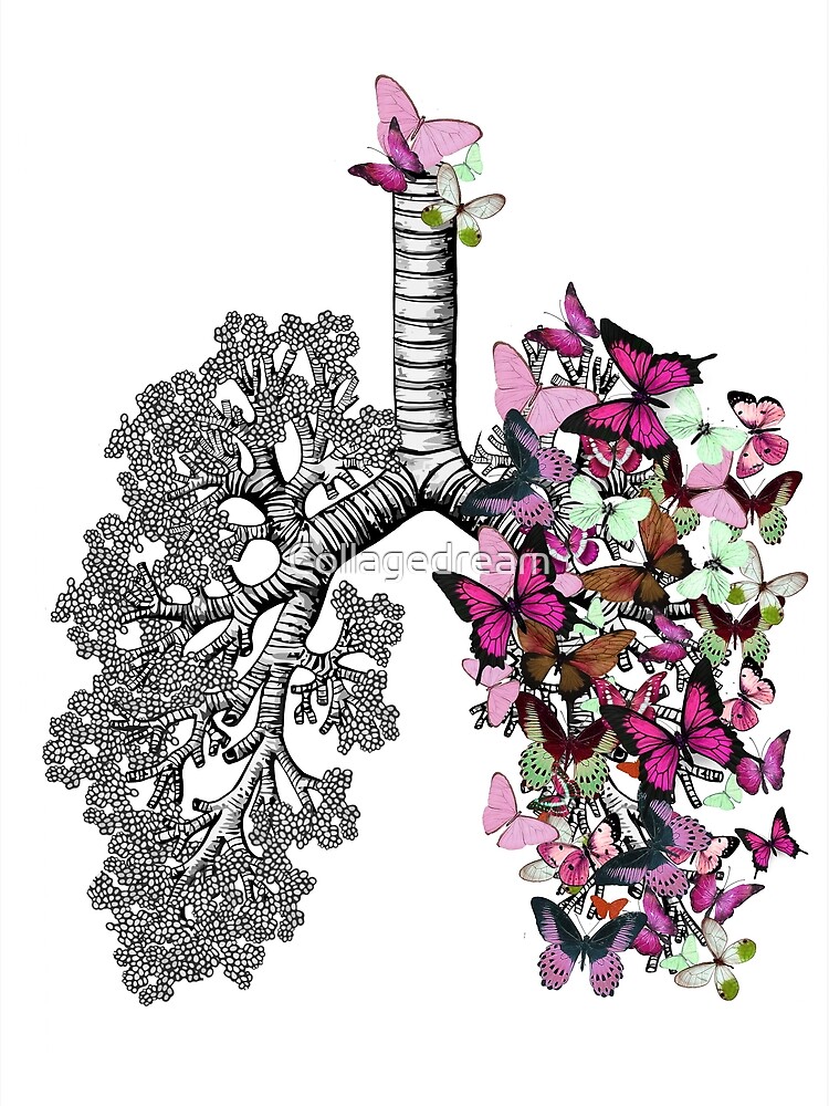"lungs purple butterflies, anatomy art, watercolor" Poster by