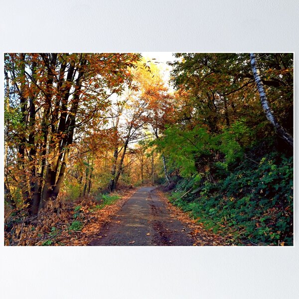 Item preview, Autumnal path designed and sold by annalisa56.
