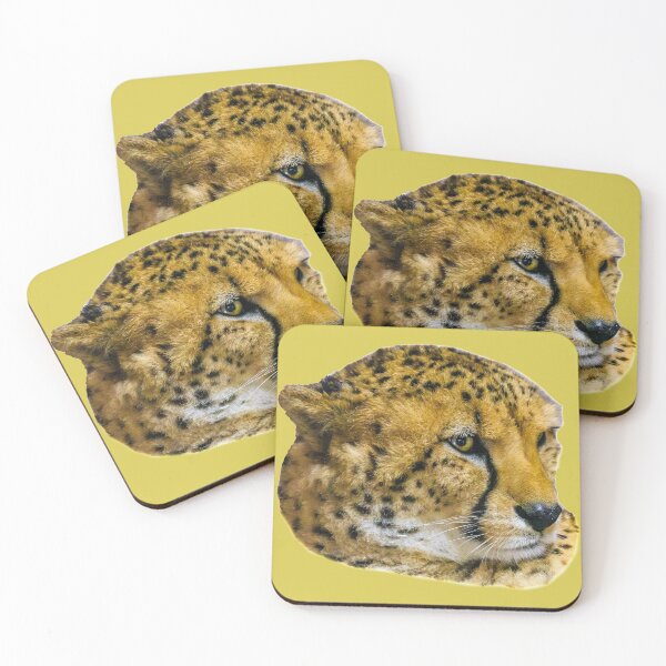 Item preview, Cheetah we are not amused designed and sold by Dalyndigital Photography.