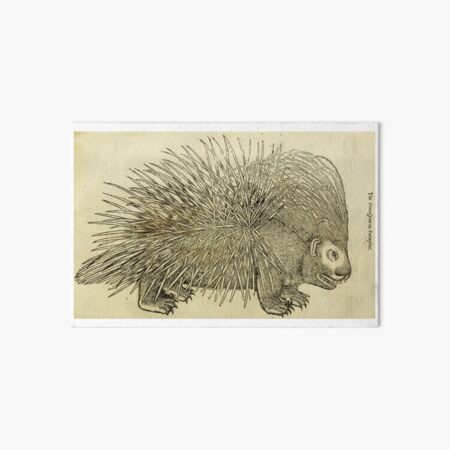 Item preview, Porcupine designed and sold by JZAndro.