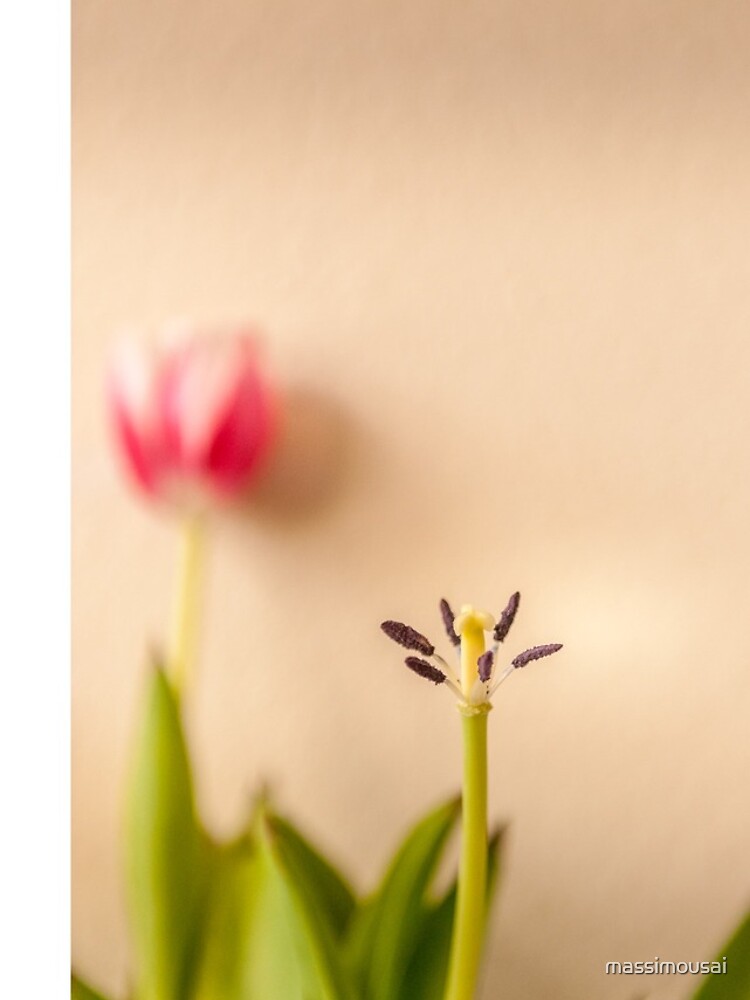 Thumbnail 4 of 4, iPhone Case, Spring designed and sold by massimousai.