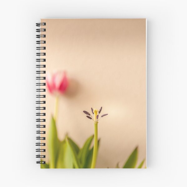 Item preview, Spring designed and sold by massimousai.