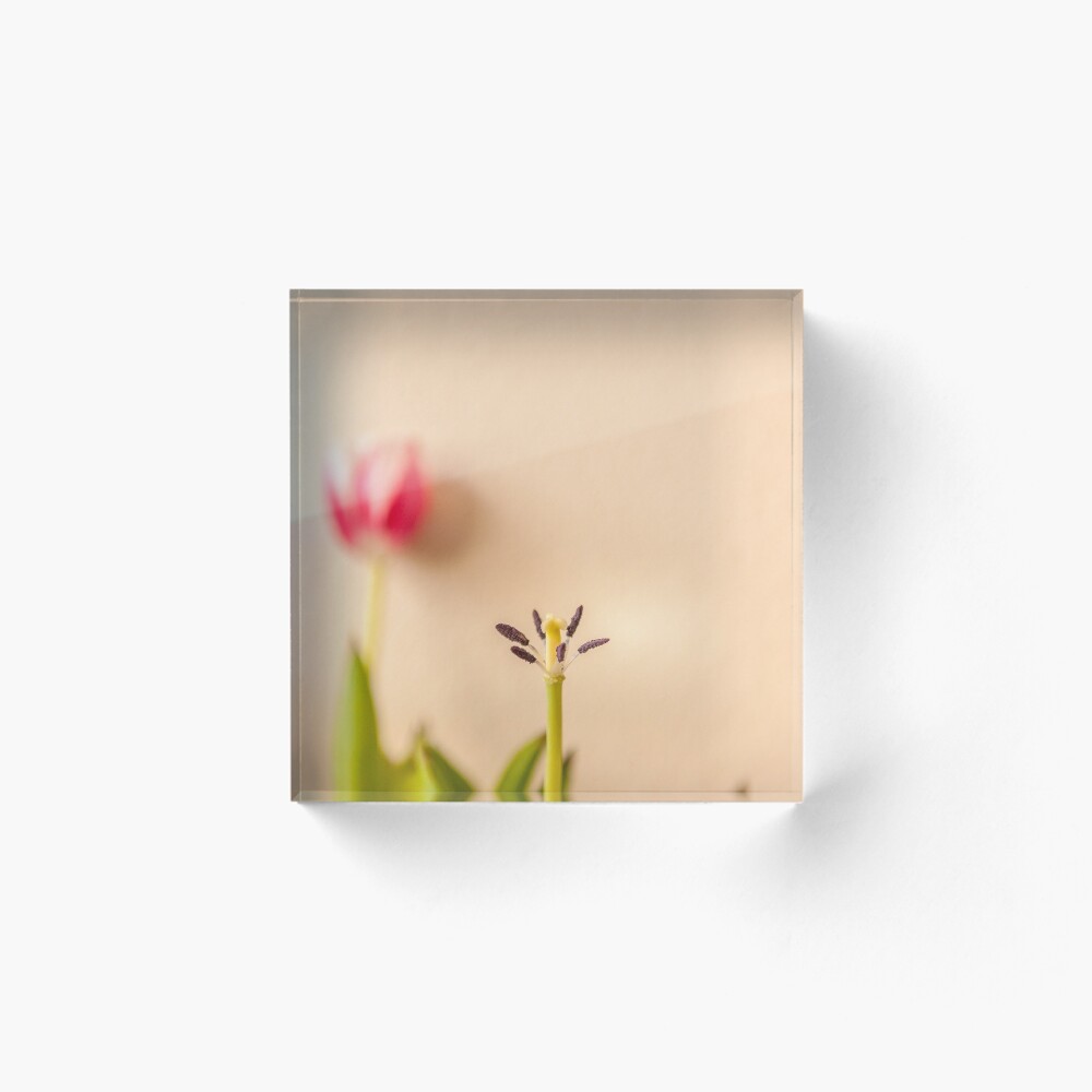 Item preview, Acrylic Block designed and sold by massimousai.