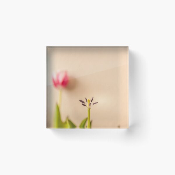 Item preview, Spring designed and sold by massimousai.